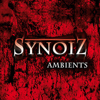 Official artwork for the Synoiz album Ambients